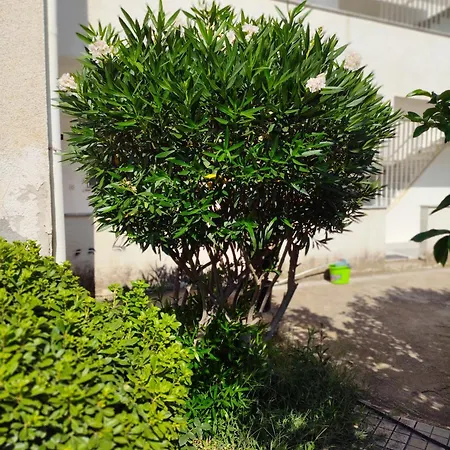 Astros Apartman Parálion Ástros