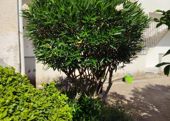 Astros 公寓 Parálion Ástros